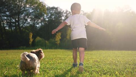 Ο 6χρονος γιος μου ζητάει σκυλάκι για κατοικίδιο - να του πάρουμε;